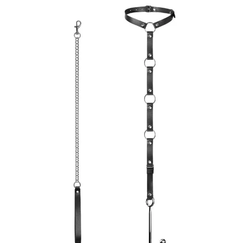 Collar with Kinky 5853 Leash EverydayUse and Anal Hook 0610